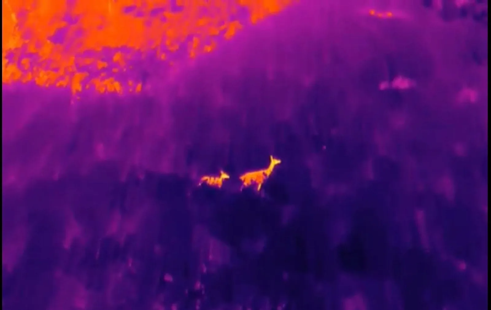 Security & Surveillance — aerial imagery